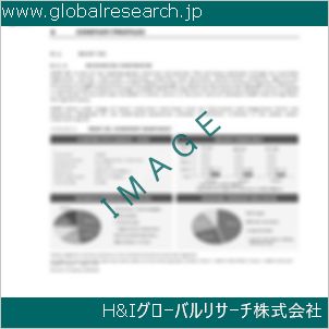 グローバルリサーチ調査資料のイメージ